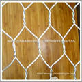 Galvanized/PVC coated Green chicken Wire, a fencing for poultry farm